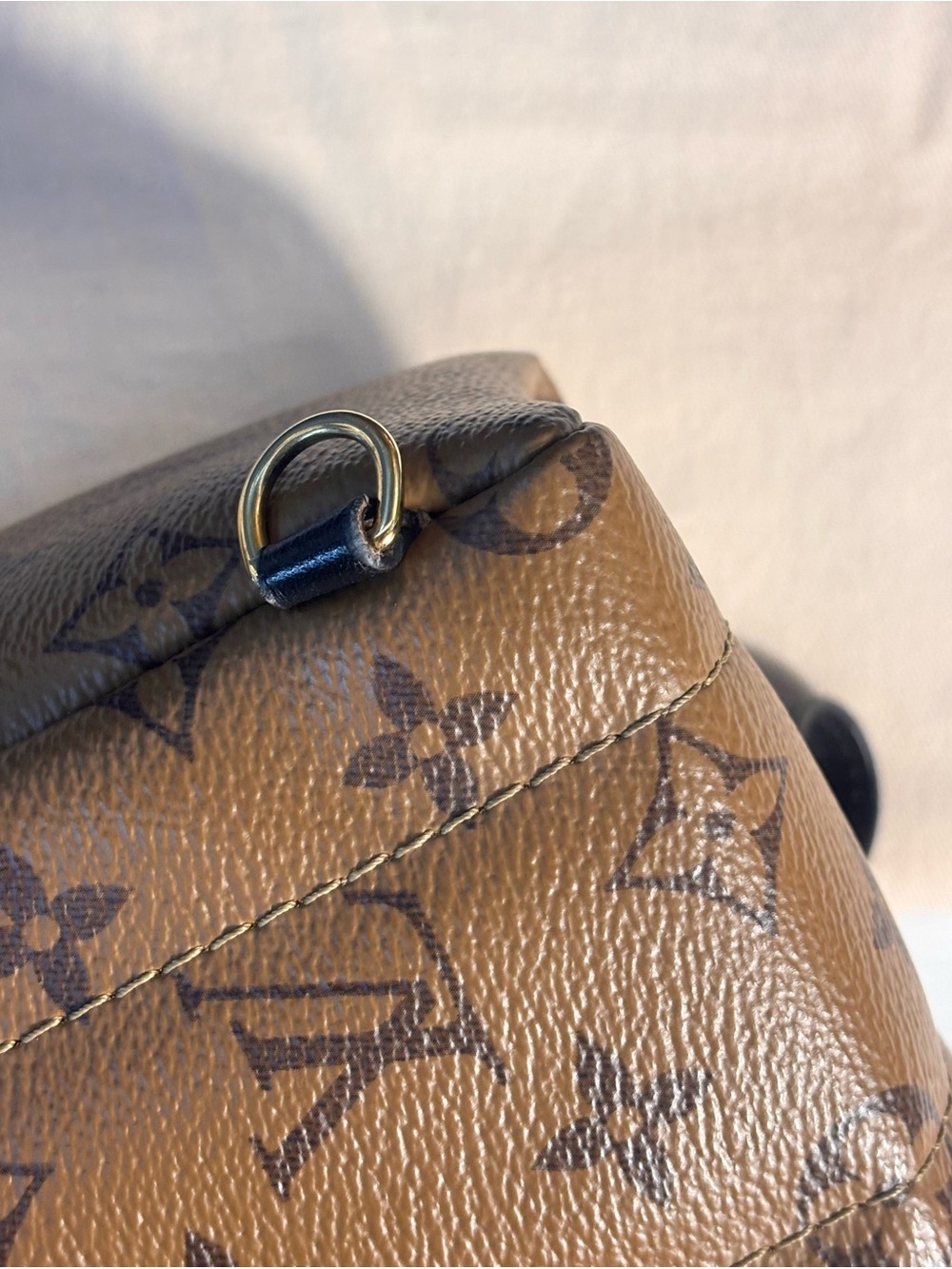 Louis Vuitton Reverse Palm Springs Mini - Picture 14 of 16